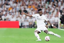 本菲卡的平 本菲卡的平